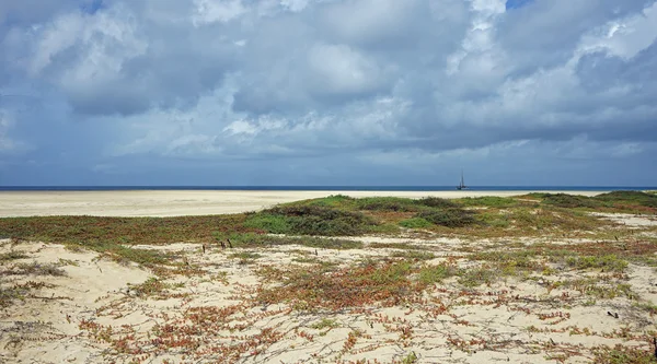 Sal island cape verde — Stock Photo, Image