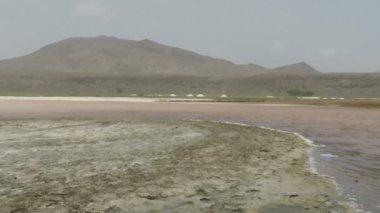 tuz rafineri pedro luma