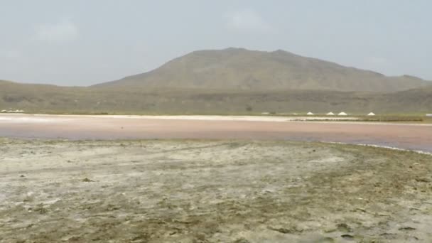盐的炼油厂佩德罗 luma — 图库视频影像