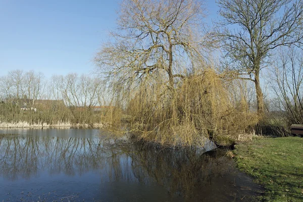 Hösten vid dammen — Stockfoto