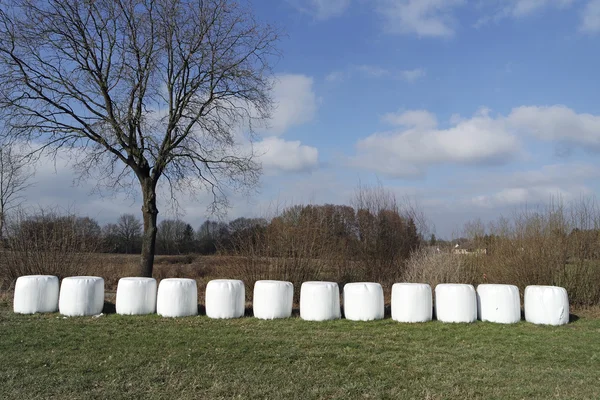 Agricoltura in Germania — Foto Stock