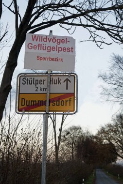 kuş gribi salgını Kuzey Almanya