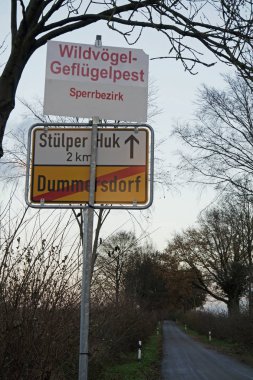 kuş gribi salgını Kuzey Almanya