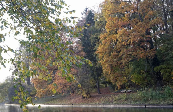 Bir parkta renkli sonbahar — Stok fotoğraf