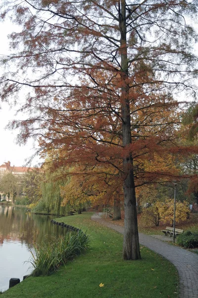 Bunter Herbst im Park — Stockfoto