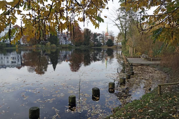 Luebeck en un estanque — Foto de Stock