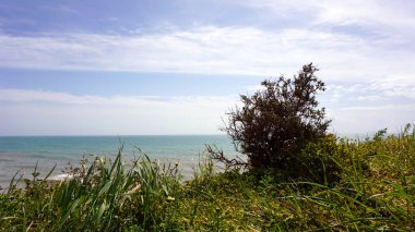 portimao Tabiat Manzarası