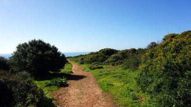 yamaç ofmaluel lourenco