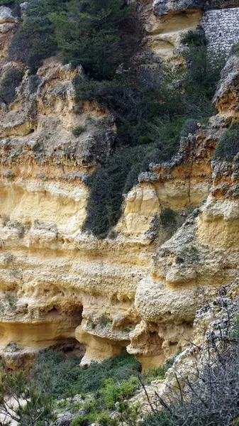 Roches de la plage de marinha — Photo