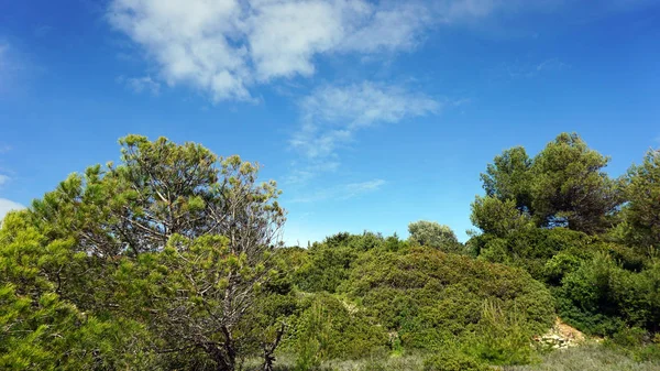 Costa del Algarve en Portugal — Foto de Stock