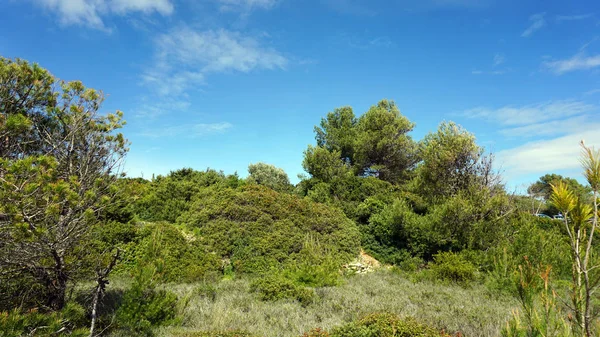 Costa del Algarve en Portugal — Foto de Stock