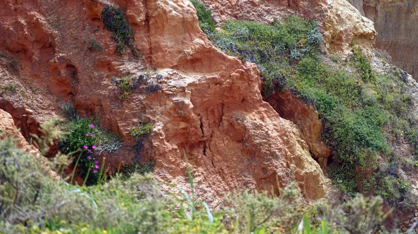 Скалы и скалы — стоковое фото