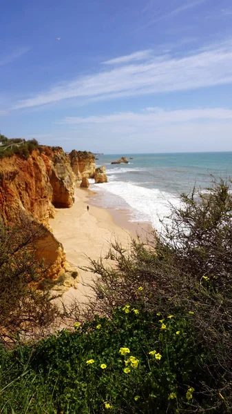 Algarve costa portugal — Fotografia de Stock