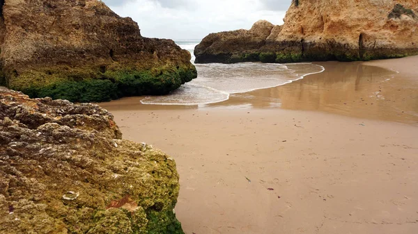 Rochas na praia — Fotografia de Stock