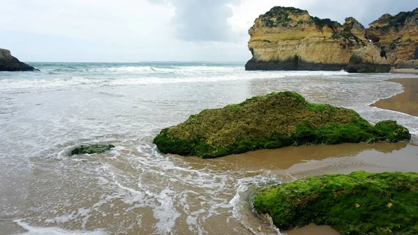 Rochas na praia — Fotografia de Stock