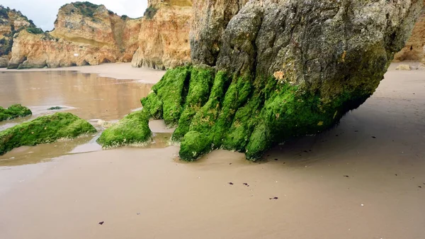 Rocks on the beach — Stock Photo, Image