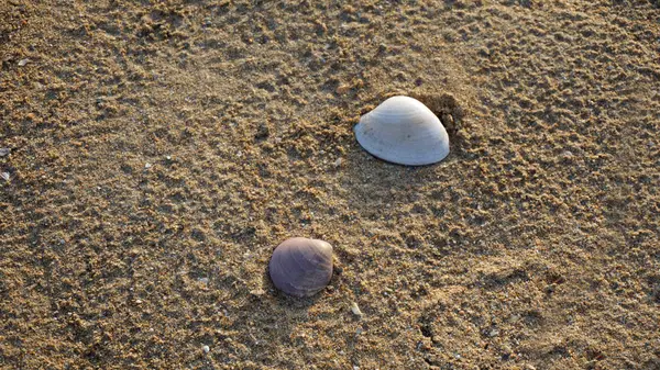 Costa do Algarve em Portugal — Fotografia de Stock