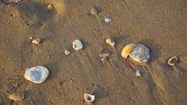 ポルトガルのアルガルヴェ海岸 — ストック写真