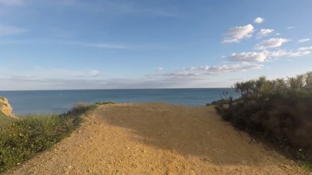 Wilde Algarve-Küste — Stockvideo