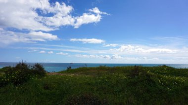 armacao de pera poente