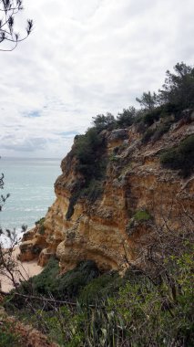 vahşi algarve pf Portekiz