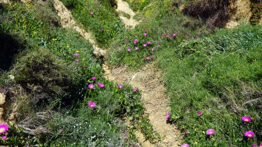 Portekiz Algarve Sahili