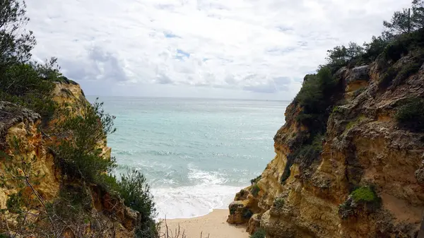 Algarve selvagem pf portugal — Fotografia de Stock