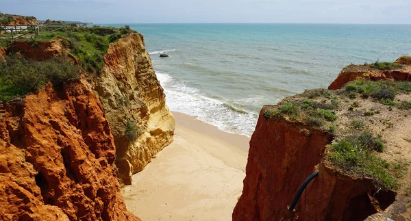 Algarve selvagem pf portugal — Fotografia de Stock