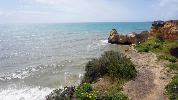 Wild pf Portugalsko algarve — Stock fotografie