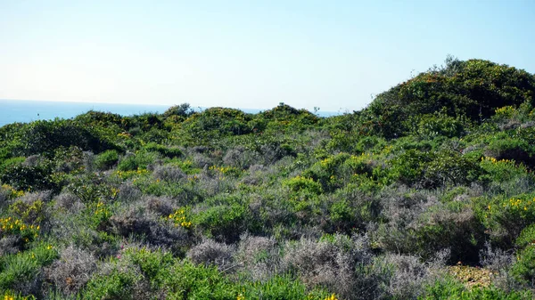 Algarve Küste portugal — Stockfoto