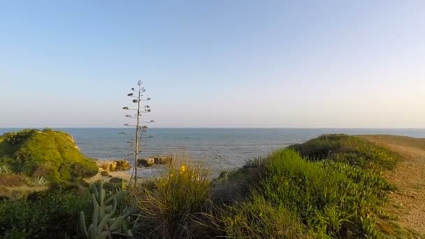 Praia de albufeira em portugal — Vídeo de Stock