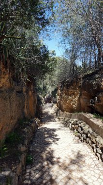 Algarve Sahili Portekiz