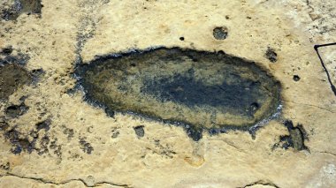 evaristo kayalıklarla