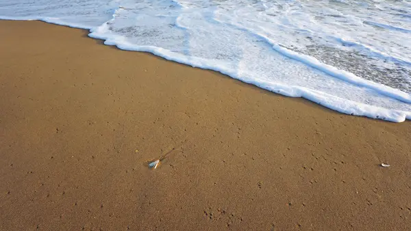 Olas en una playa — Foto de Stock