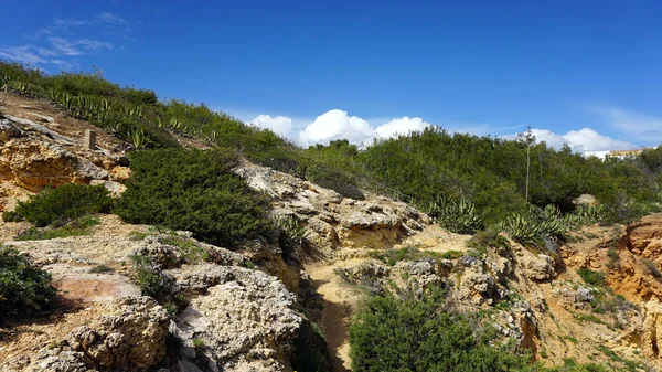 Rocas de playa marinha — Foto de Stock