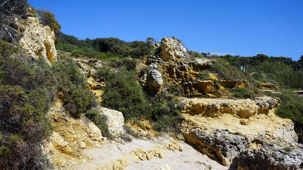 Excursion en bateau en Algarve — Photo