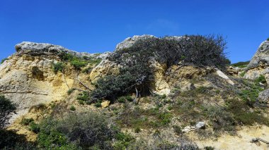 evaristo kayalıklarla