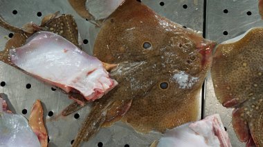 Portekiz Algarve bölgesi