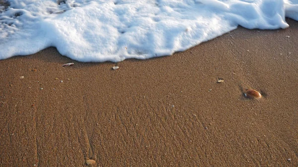 Bølger på en strand - Stock-foto