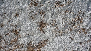 algarve gelen Mimarlık