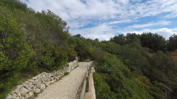 Bahía de senhora de rocha en la costa del Algarve — Vídeos de Stock
