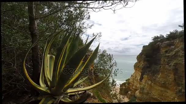 Bahía de senhora de rocha en la costa del Algarve — Vídeo de stock