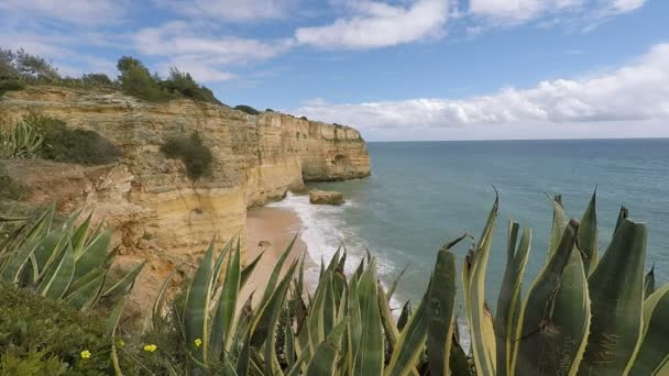 Praia de marinha — стокове відео