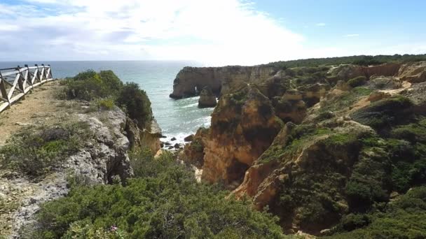 Praia de marinha — Αρχείο Βίντεο