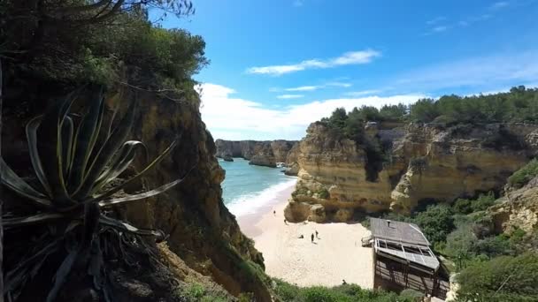 Praia de marinha — Stockvideo