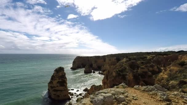 Praia de marinha — Stok video