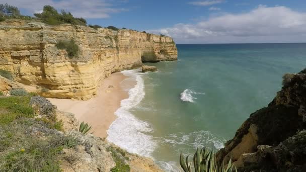 Praia de marinha — Stok video