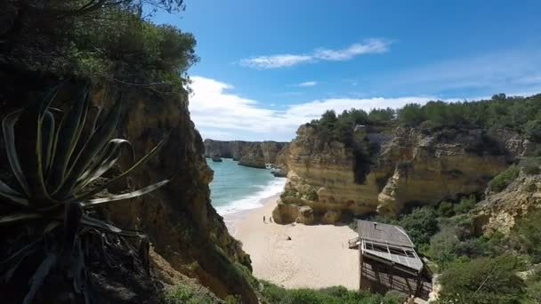 Praia de marinha — Stockvideo