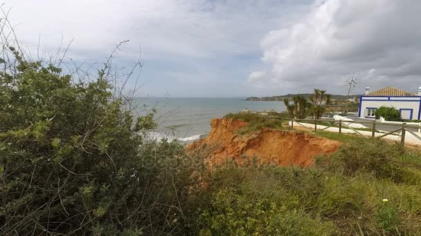 Rocha baai op de algarve — Stockvideo