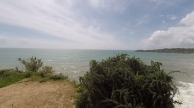 vahşi algarve kıyısında